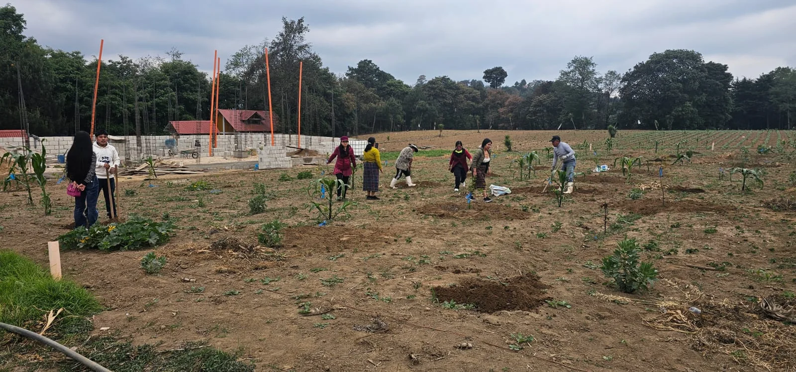 Jornada comunitaria en un campo de plantas frutales